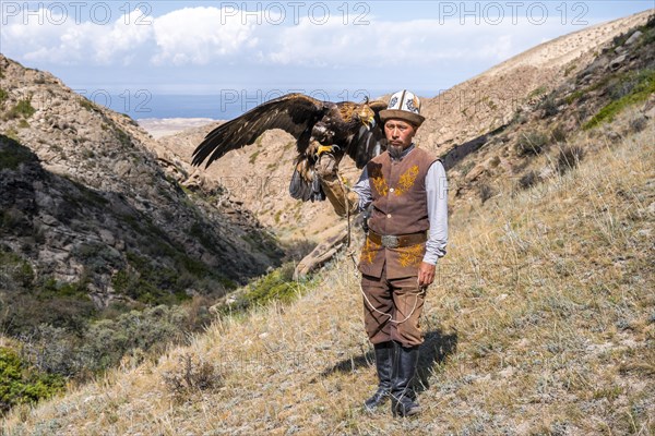 Traditional Kyrgyz eagle hunter with eagle in the mountains, hunting, near Bokonbayevo, Issyk Kul region, Kyrgyzstan, Asia