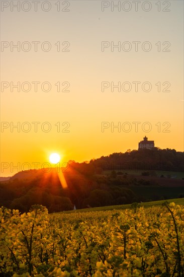 Landscape at sunrise. Beautiful morning landscape with fresh yellow rape fields in spring. Small castle in the yellow fields on a hill. Historic Ronneburg Castle in the middle of nature, Ronneburg, Hesse, Germany, Europe