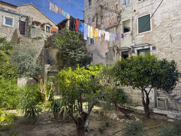 A peaceful courtyard with washing lines and green plants, Split, Dalmatia, Croatia, Europe