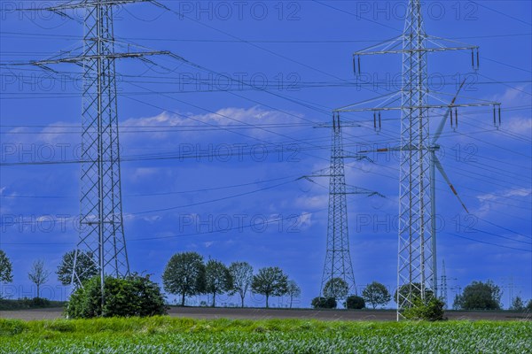 Power pylons with high-voltage lines on the K63 road with trees at the Avacon substation Helmstedt, Helmstedt, Lower Saxony, Germany, Europe