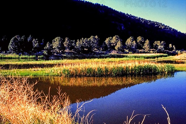 Walker River, rises near Lake Tahoe, flows into the Yerington River, Nevada, USA, North America