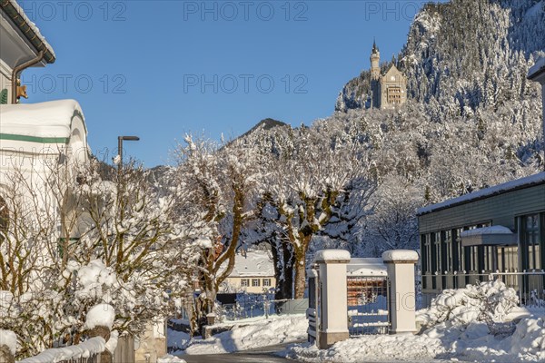 Neuschwanstein Castle, Schwangau near Fuessen, Allgaeu, Bavaria, Germany, Fuessen, Bavaria, Germany, Europe