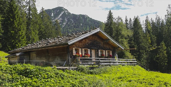 Landscape panorama, alpine hut