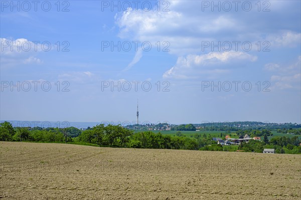 Uncultivated field on the Schoenfelder Hochland near Dresden, Saxony, Germany, in the background the Dresden television tower, Europe