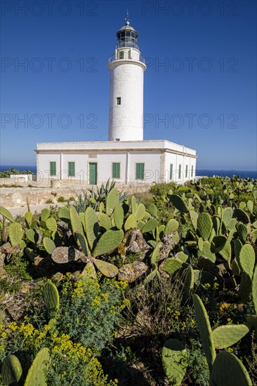 La Mola Lighthouse, Formentera, Pitiusas Islands, Balearic Community, Spain, Europe