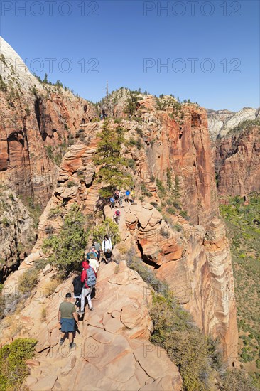 Descent from Angels Landing, Zion National Park, Colorado Plateau, Utah, USA, Zion National Park, Utah, USA, North America