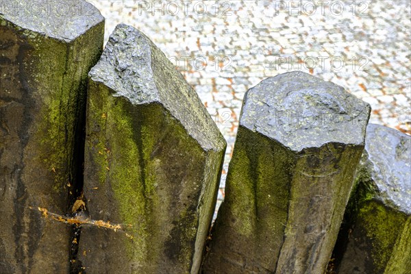 Basalt columns rise up from the earth