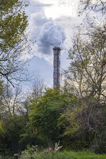 Symbolic image, emission of gases from the chimney of an industrial plant into the environment