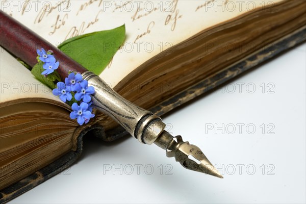 Pen and flower on diary, forget-me-not