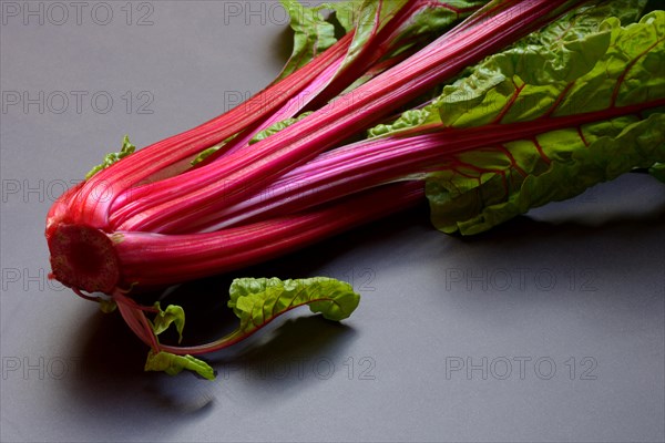 Chard with red stems, Beta vulgaris