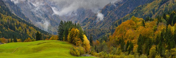 Autumn in the Trettachtal, near Oberstdorf, Oberallgaeu, Allgaeu, Bavaria, Germany, Europe