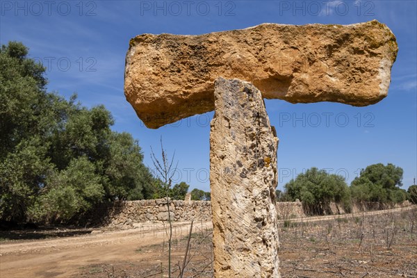 Can Garra Seca, Megalithic elements, Â«Cami de sa TorreÂ», municipality of Llucmajor, Mallorca, Balearic Islands, Spain, Europe