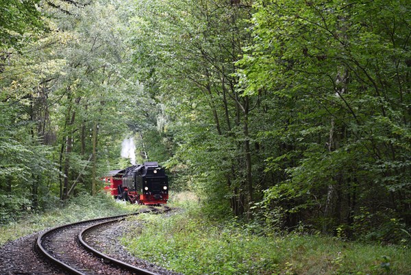 The Harz Narrow Gauge Railway, Brocken Railway, Selketal Railway in the Harz Mountains, Saxony-Anhalt, Germany, Europe