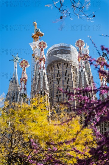 Towers of the Sagrada Familia basilica under construction, Roman Catholic basilica by Antoni Gaudi in Barcelona, Spain, Europe