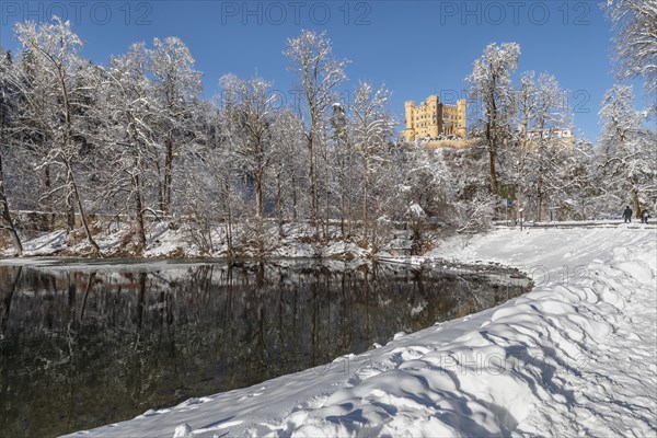 Hohenschwangau Castle, Schwangau near Fuessen, Allgaeu, Bavaria, Germany, Fuessen, Bavaria, Germany, Europe