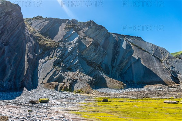 Flysch Basque Coast Geopark in Zumaia with low seas with marine vegetation, Gipuzkoa