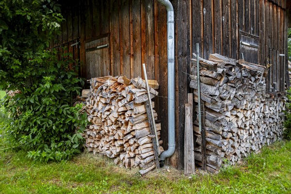 Symbolic image: Firewood stacked in piles at the edges of a shed in a rural area, for example a hut near Maierhoefen in Westallgaeu, Bavaria, Germany, Europe