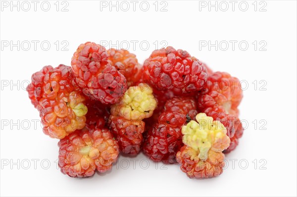 Strawberry spinach (Chenopodium foliosum, Blitum virgatum), fruits on a white background, vegetable and ornamental plant