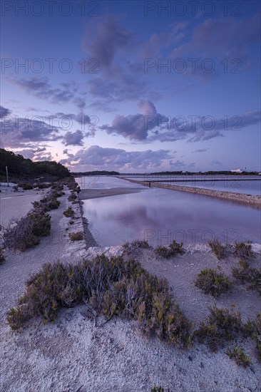 Parc Natural de Ses Salines d?Eivissa i Formentera, Formentera, Pitiusas Islands, Balearic Community, Spain, Europe