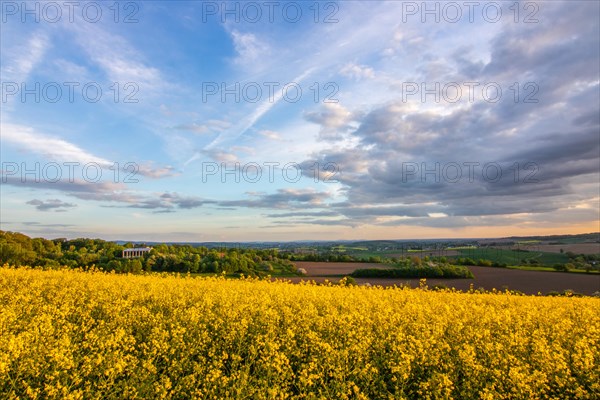 Landscape at sunrise. Beautiful morning landscape with fresh yellow rape fields in spring. Small castle in the yellow fields on a hill. Historic Ronneburg Castle in the middle of nature, Ronneburg, Hesse, Germany, Europe