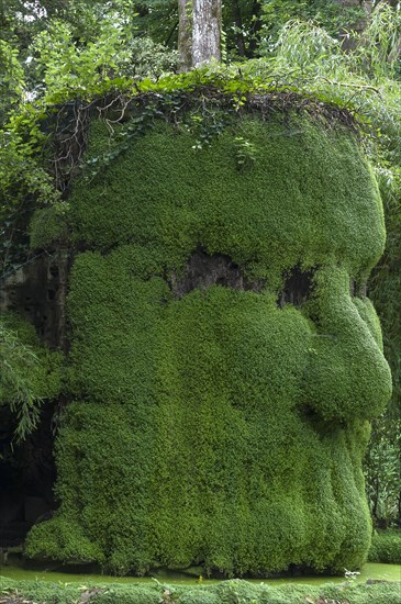 Head formed from plants in the Parc Floral et Tropical de la Court d'Aron, Saint Cyr en Talmondais, Vandee, France, Europe