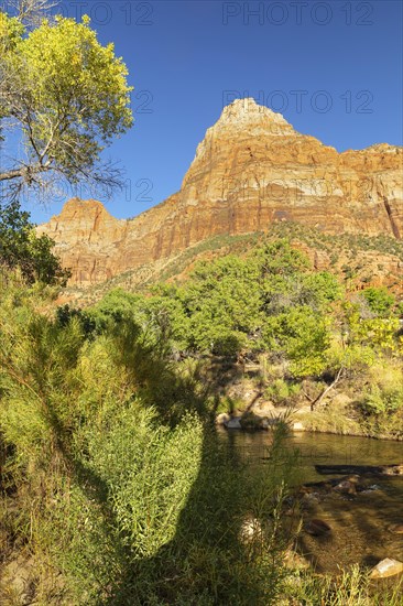 Watchman Mountain (1998m) at sunset, Zion National Park, Colorado Plateau, Utah, USA, Zion National Park, Utah, USA, North America