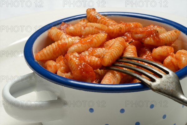 Malloreddus, Sardinian gnocchetti with tomato sauce in a bowl, traditional pasta variety from Sardinia, Italy, Europe