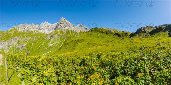 Panorama from the Kemptner Huette, 1844m, to the Muttlerkopf, 2368m, Allgaeu Alps, Allgaeu, Bavaria, Germany, Europe