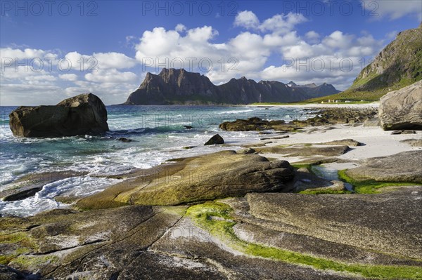 Seascape on the beach at Uttakleiv (Utakleiv), rocks and green seaweed in the foreground. In the background the mountain Hogskolmen. Good weather, blue sky with some clouds. Early summer. Uttakleiv, Vestvagoya, Lofoten, Norway, Europe