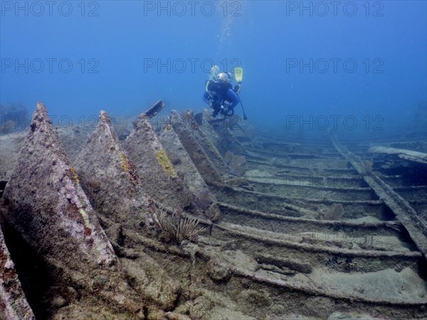 Diver swimming over the wreck of the Benwood. Dive site John Pennekamp Coral Reef State Park, Key Largo, Florida Keys, Florida, USA, North America