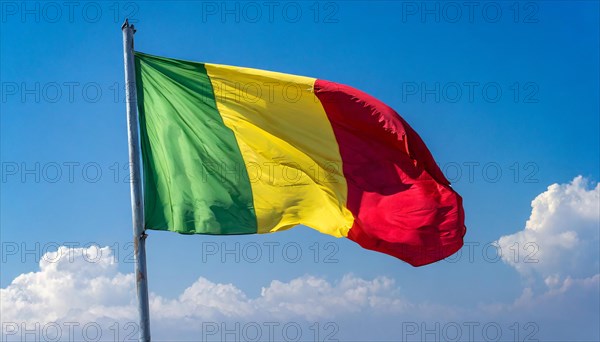 The flag of Mali, fluttering in the wind, isolated, against the blue sky