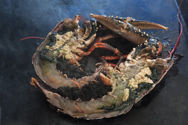 Grilled lobster (homarus) with kabviar and vegetables on a plancha, Atlantic coast, Vandee, France, Europe