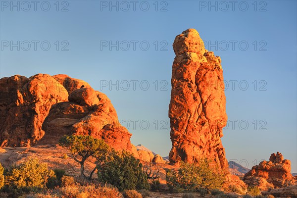 Sandstone formation at sunset, Arches National Park, Utah, USA, Arches National Park, Utah, USA, North America