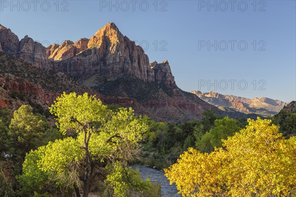 View from Virgin River to Watchman Mountain, Zion National Park, Colorado Plateau, Utah, USA, Zion National Park, Utah, USA, North America