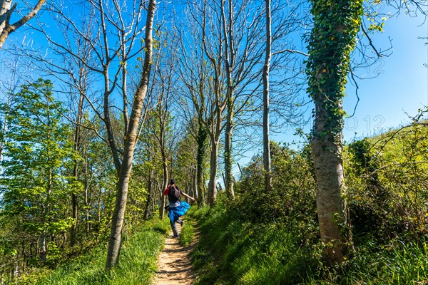 A hiker jumping happily through a forest near the Zumaia flysch, Gipuzkoa. Basque Country