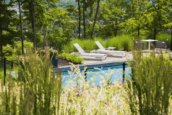 View through ornamental grass plants and shrubs of two white long chairs on edge of in-ground swimming pool enclosed by clear glass and black metal fence in residential backyard in summer, Quebec, Canada, North America