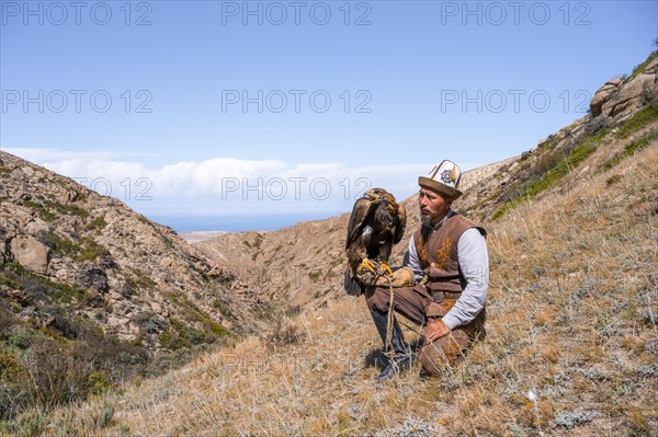 Traditional Kyrgyz eagle hunter with eagle in the mountains, hunting, near Bokonbayevo, Issyk Kul region, Kyrgyzstan, Asia
