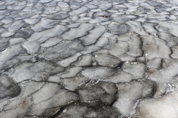 Winter, ice pattern formation, Chateauguay River, Province of Quebec, Canada, North America