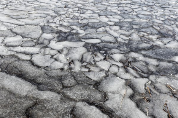 Winter, ice pattern formation, Chateauguay River, Province of Quebec, Canada, North America