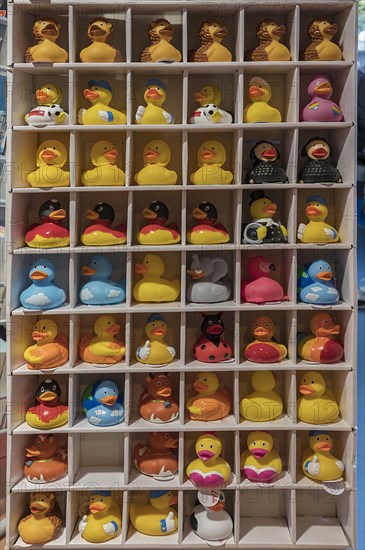 Sales shelf with squeaky ducks in a motorway restaurant, Mecklenburg-Vorpommern, Germany, Europe