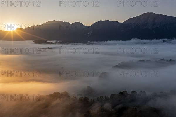 Aerial view, fog in front of mountains, sunrise, backlight, summer, view of Kochler mountains with Jochberg, Alpine foothills, Bavaria, Germany, Europe