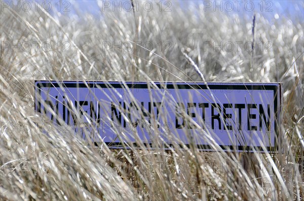 Sylt, Schleswig-Holstein, sign with the inscription 'Do not enter' in front of a field of reeds, Sylt, North Frisian Island, Schleswig-Holstein, Germany, Europe