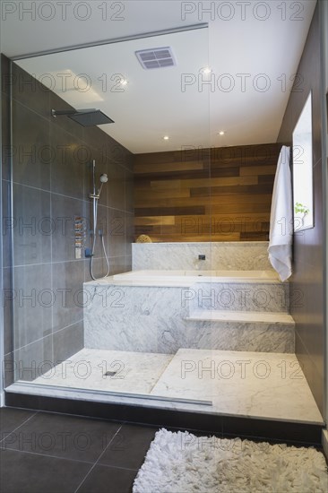 Wet room style glass shower stall with grey and white marble steps and red cedar wooden wall in main bathroom on upstairs floor inside modern cube style home, Quebec, Canada, North America