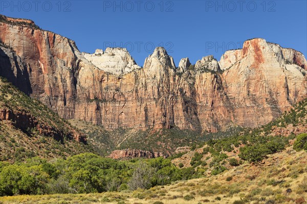 The West Temple, Zion National Park, Colorado Plateau, Utah, USA, Zion National Park, Utah, USA, North America