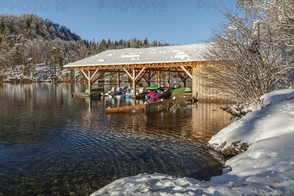 Alpsee, Schwangau, Ostallgaeu, Swabia, Bavaria, Germany, Schwangau, Ostallgaeu, Bavaria, Germany, Europe