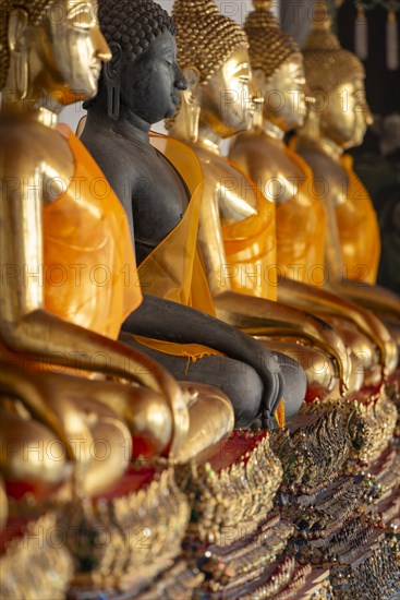 Gilded Buddha statues (Bhumispara-mudra: Buddha Gautama at the moment of enlightenment), Wat Pho, Bangkok, Thailand, Asia