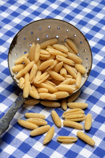 Malloreddus, Sardinian gnocchetti, traditional pasta variety from Sardinia, Italy, Europe