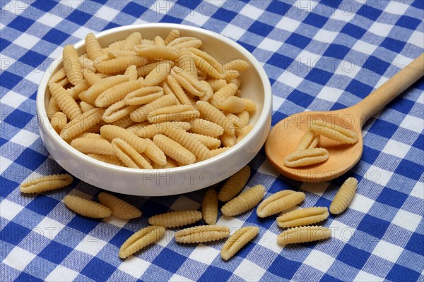 Malloreddus, Sardinian gnocchetti in shell, traditional pasta variety from Sardinia, Italy, Europe