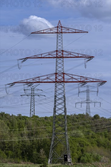Power pylons with high-voltage lines near the Avacon substation Helmstedt, Helmstedt, Lower Saxony, Germany, Europe