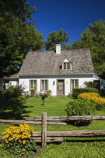 Old circa 1886 white with beige and brown trim Canadiana cottage style home facade with landscaped front yard that includes yellow Rudbeckia fulgida â€˜Goldsturm', Coneflowers in summer, Quebec, Canada, North America